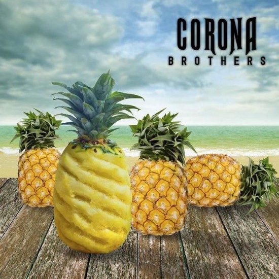 Tropical Beach by Corona